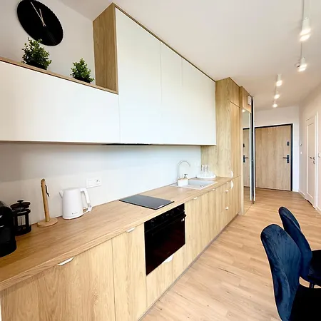 Apartment Sarbinove *